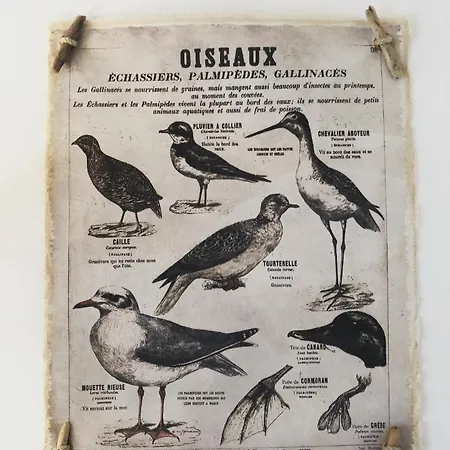 Dom wakacyjny Pigouille